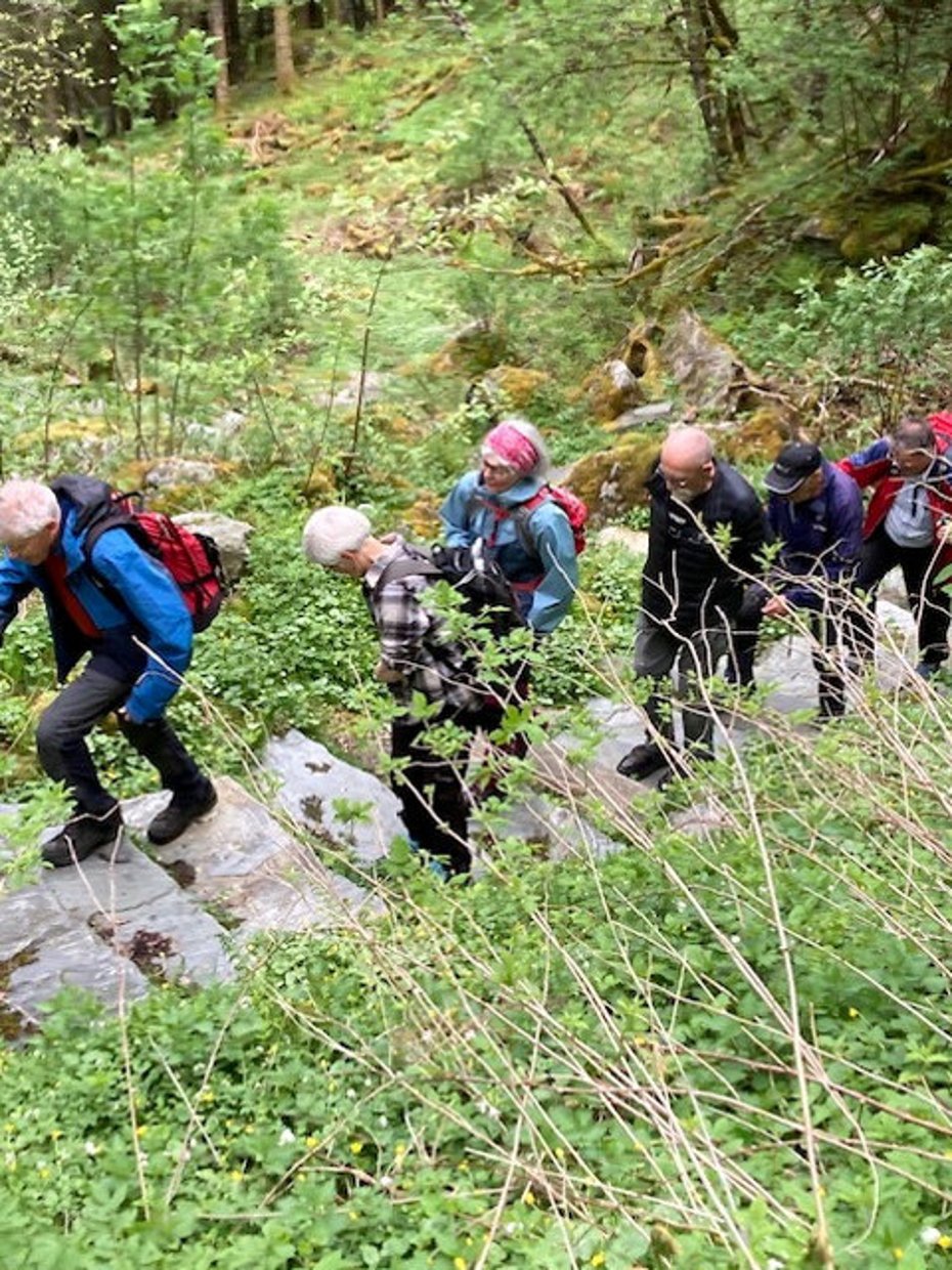 Seniortur Kvanndal - Kvanndalsstølen