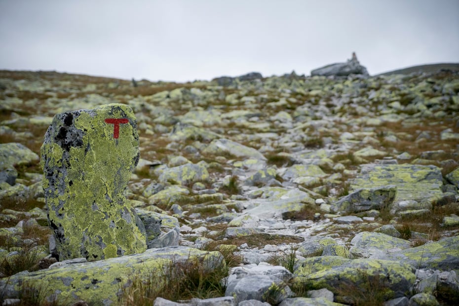 Bilder fra fjellferie 2019.