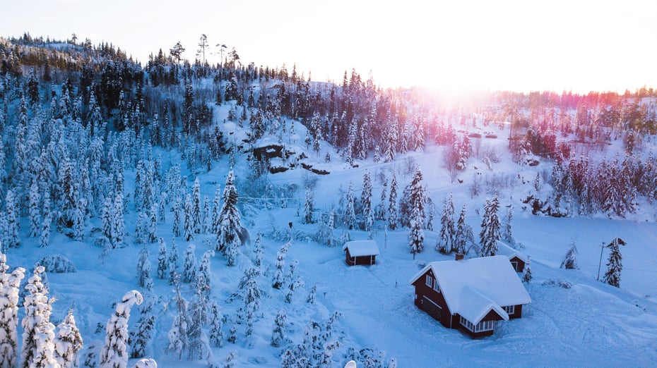 En koselig DNT-hytte i en skog dekket av snø