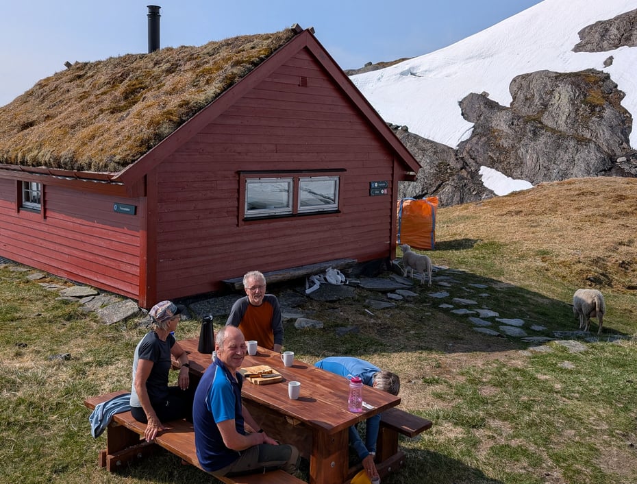 Stordugnad på Tvinnestølen 14. - 15. juni