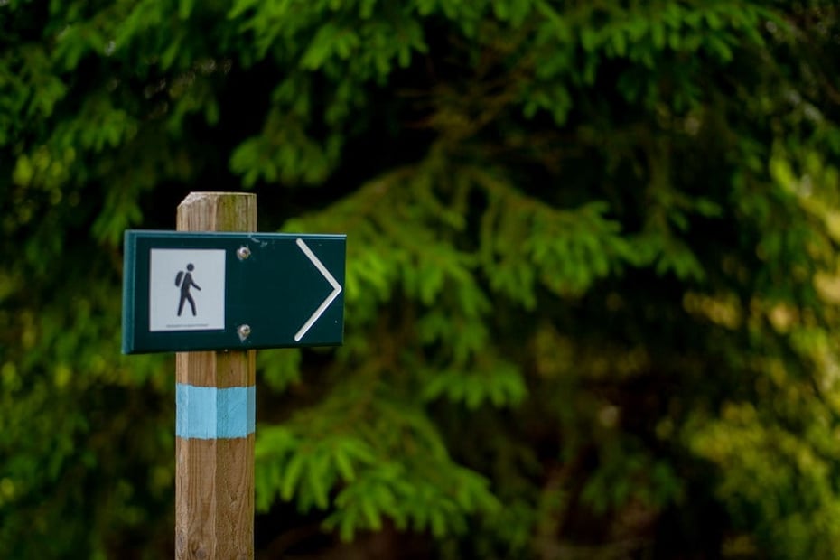 Turskilt i skogen med et grantre i bakgrunnen. Foto. 