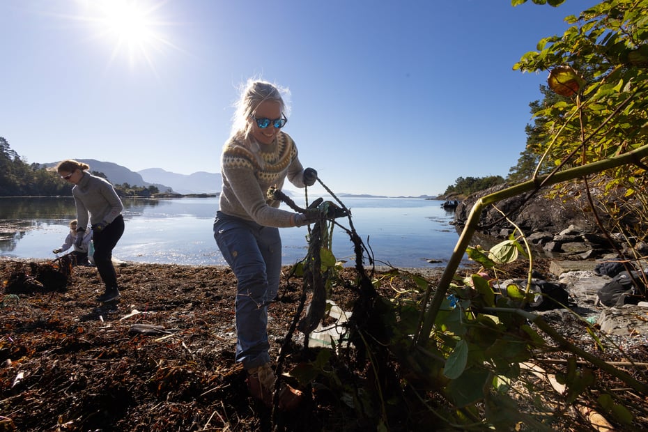 To kvinner plukker boss langs strand langs blikkstille fjord og sol.