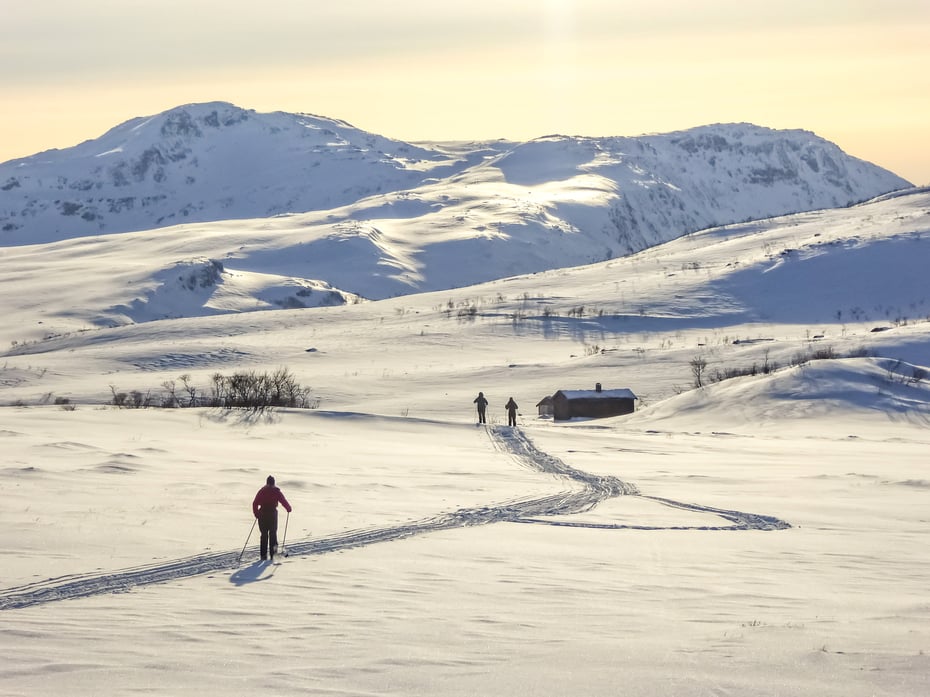 Jøldalen i Trollheimen, vintertur 2015.