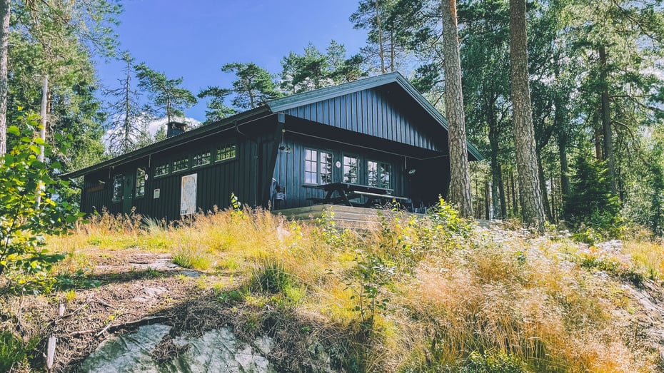 En trehytte på en høyde omgitt av furutrær.