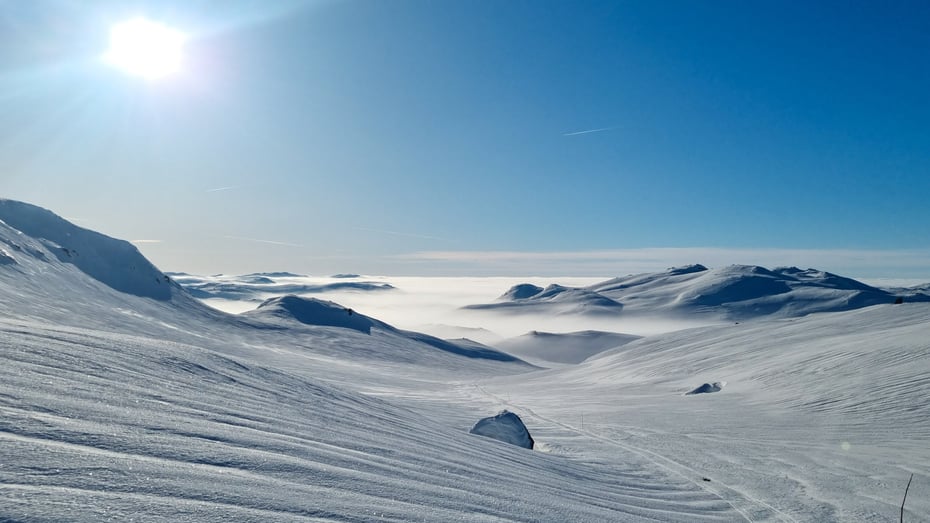 Kvisting i området rundt Øyuvsbu 2023