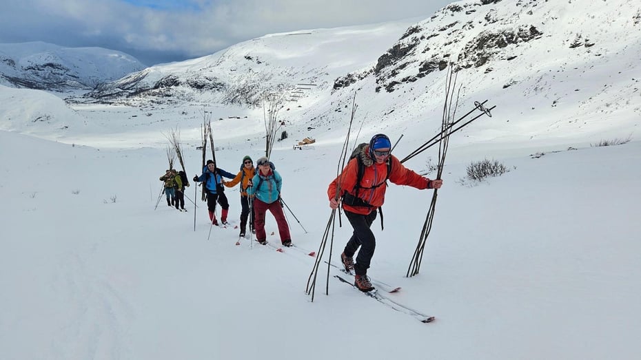 Kvistetur frå Upsete til Kaldavasshytta 15 mars. 7 stk bar 200 kvister 6,5 km.