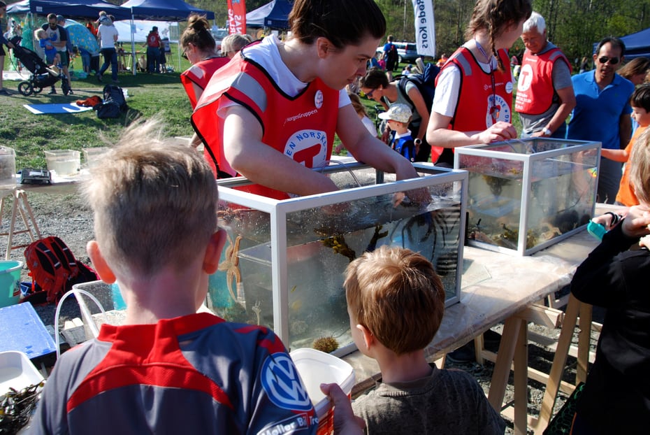 Barnas Store Fjæredag i Rotvollfjæra 2019