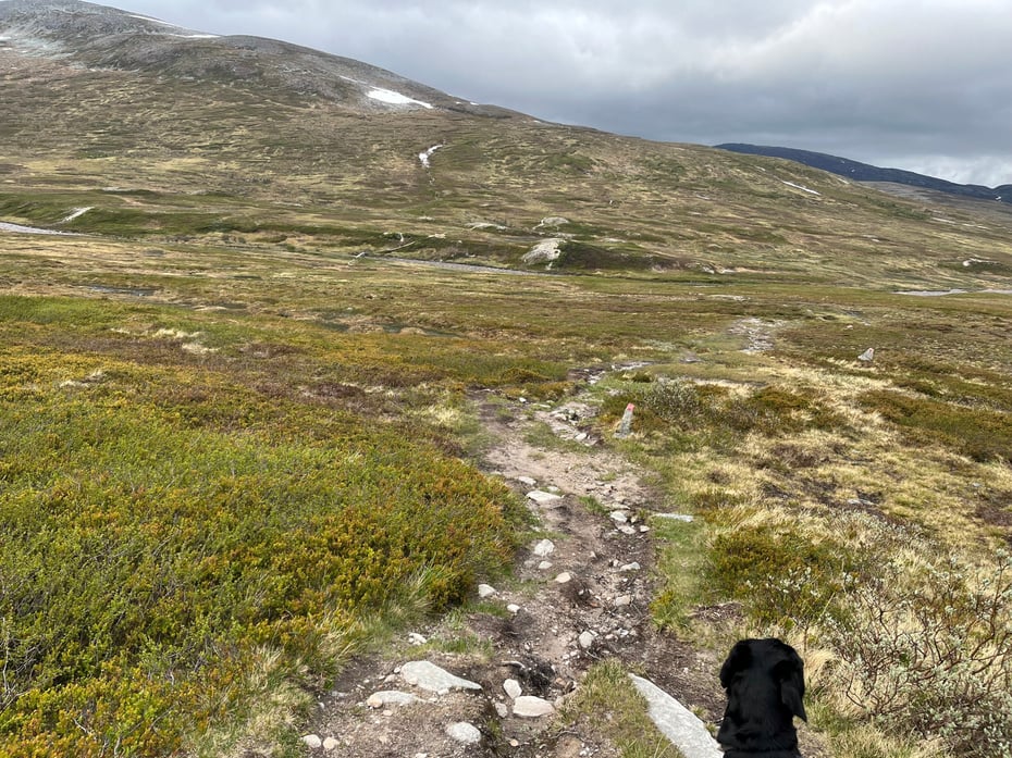 Trekanten i Trollheimen: Mot Minnilla