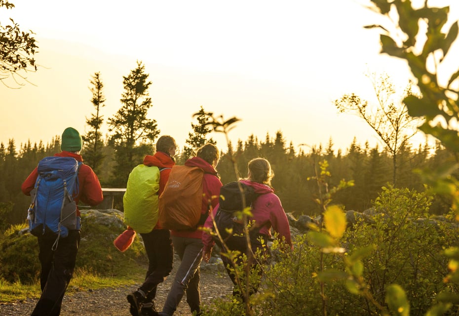 Ungdommer på tur i solnedgang ved skog.