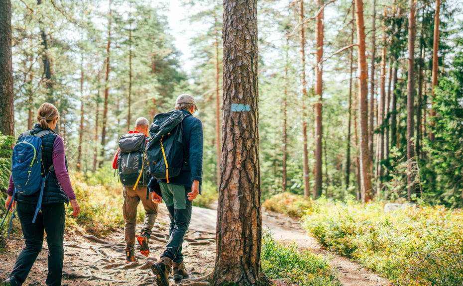 tre personer på en sti i skogen og et tre med et blått merke på 