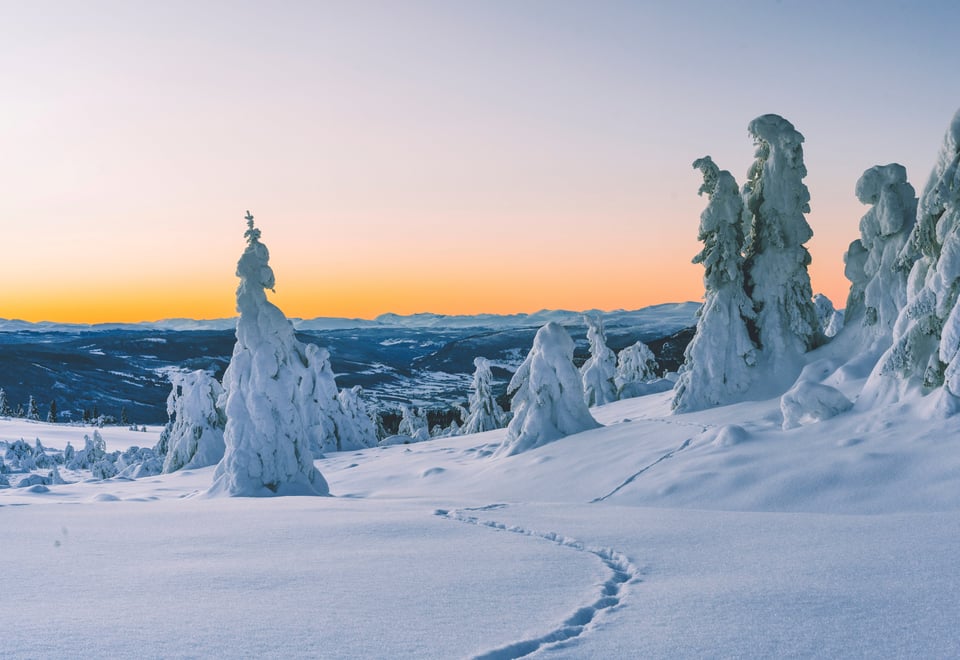 Solnedgang i vakkert vinterlandskap med snøkledde trær.