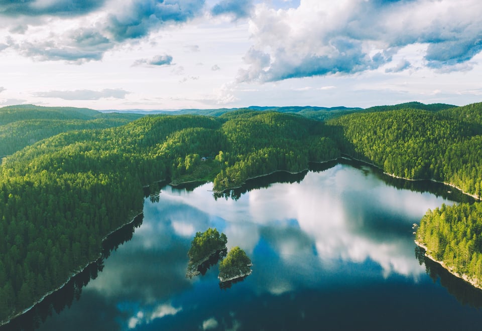 Skogsområde og skogsvann sett fra lufta.