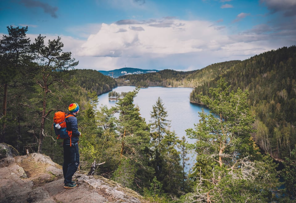 Mann ser utover skogsvann