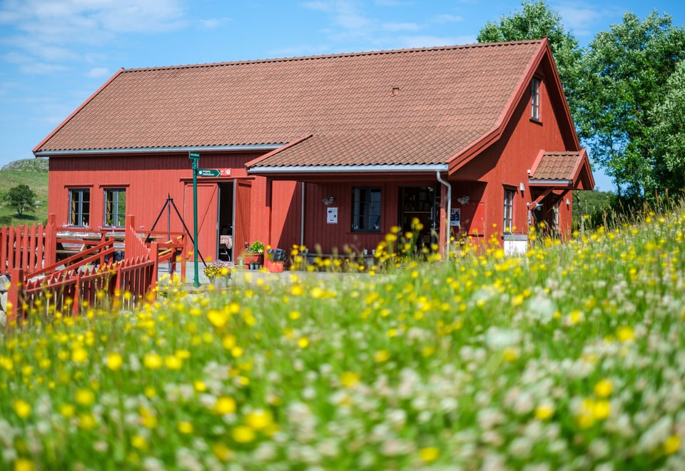 Bilder fra Gladmat på Gramstad 2022. Gramstadtunet, sommer. Blomster, blomstereng. Låven.