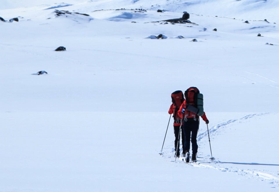 To personer som går på fjellski i fjellet