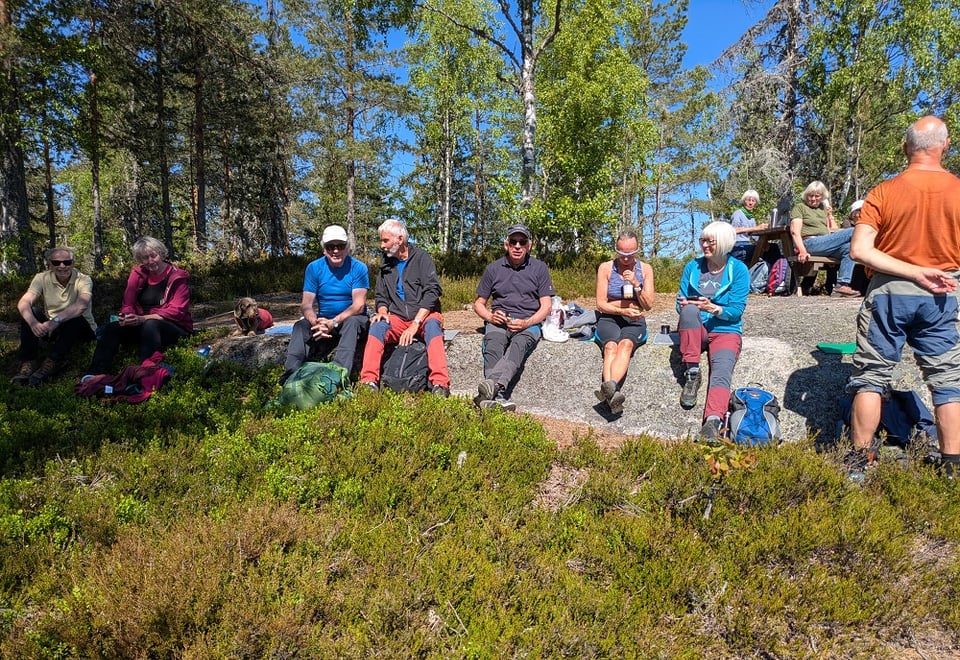 Personer som sitter på gresset. Det er blå himmel og bjørketrær i bakgrunnen. 