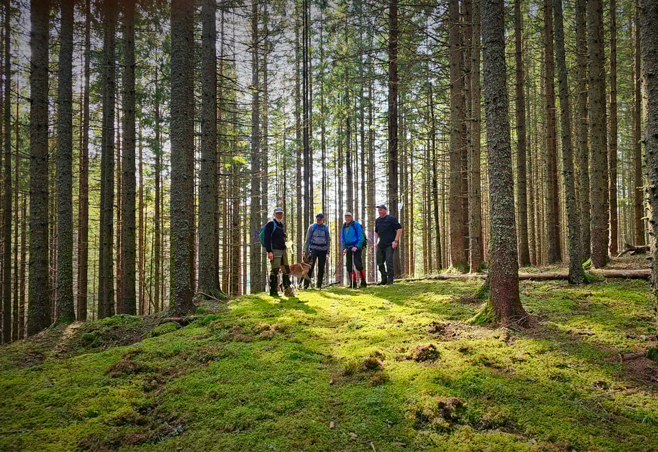 Mennesker på tur i grønn og tett skog