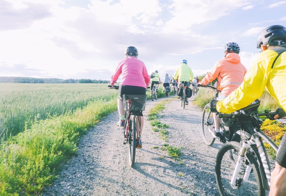 En turguppe sykler på grusvei langs en åker
