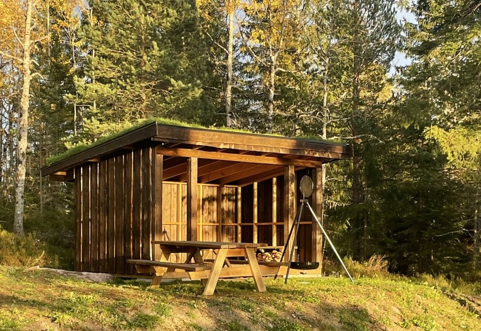 gapahuk i skogen
