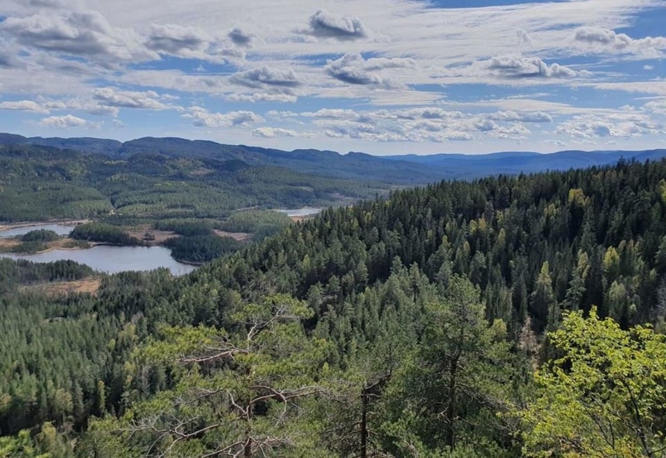 Grønn ås med blå himmel