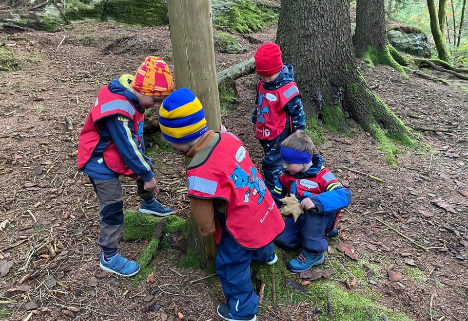 Fire barn med røde turbovester leter etter insekter i naturen