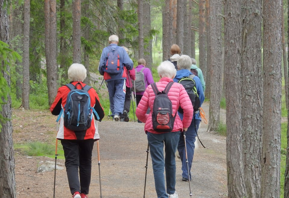 Mennesker går på tur med staver i skogen