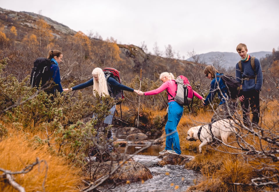 turfølge hjelper hverandre over bekk i fjellet