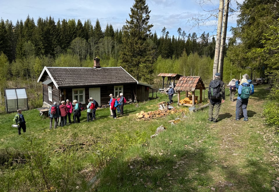 Onsdagsgruppa
