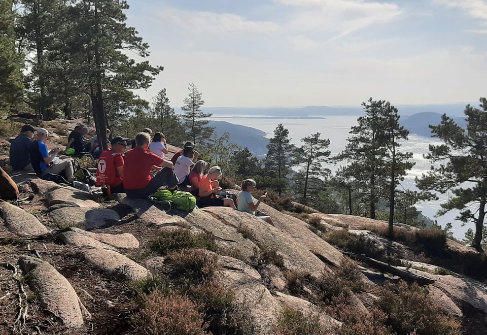 Utsikt over fjord 