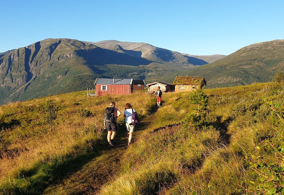 To personer som går bor til nokre stølshus, Hovdongo