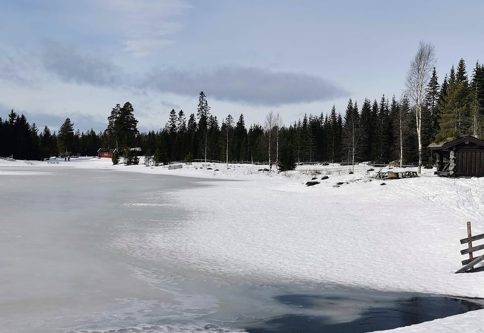 Tjern med åpent vann i innos