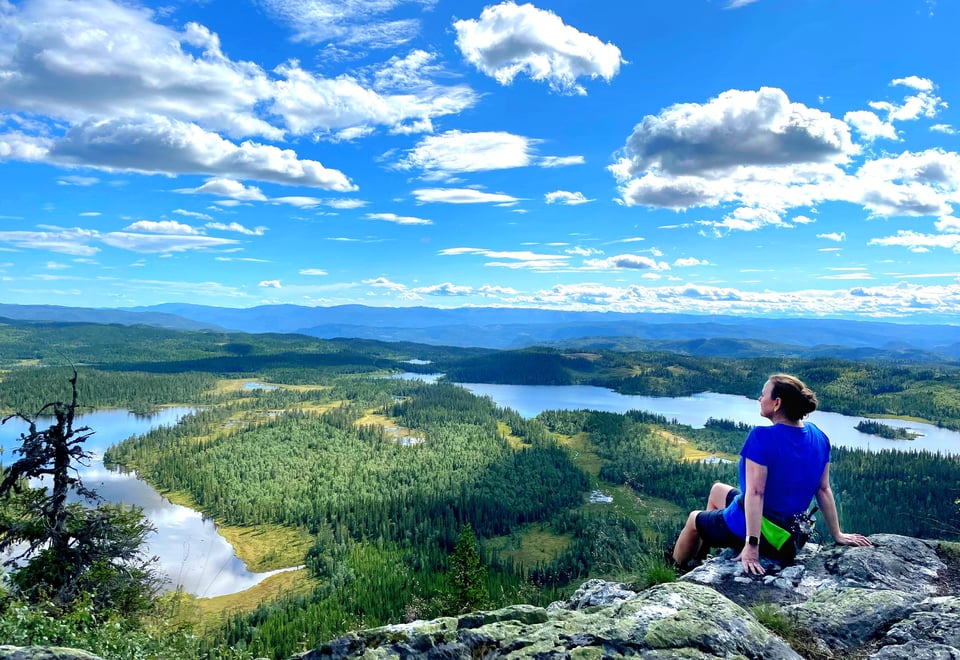 Utsikt fra knausen vest for branntårnet.