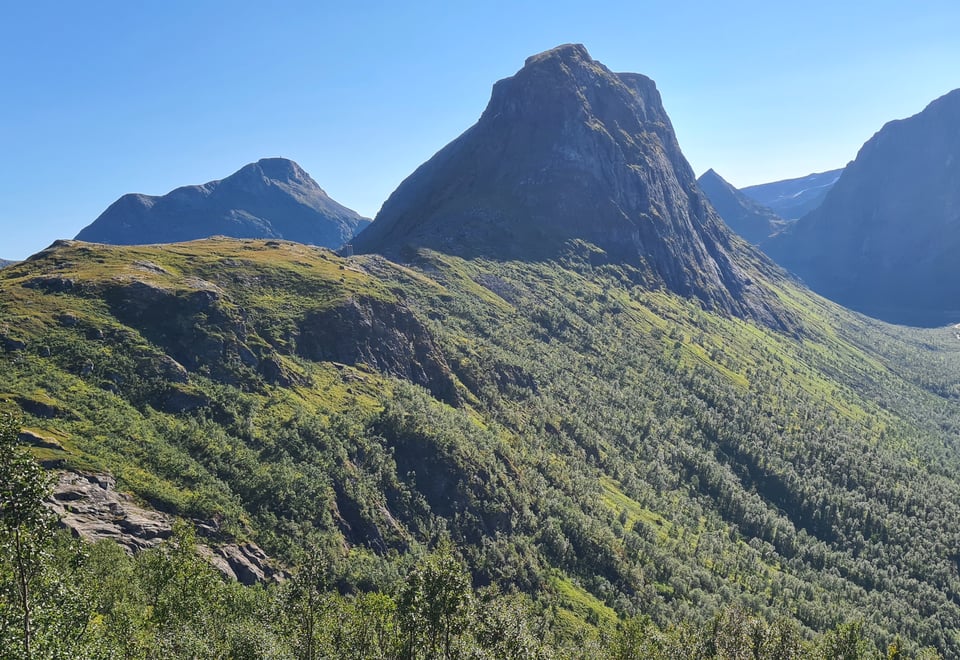 Bergsbotn Senja
