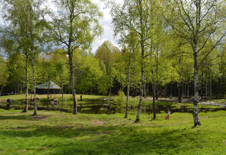 Grønne trær og et barn som løper på en gresslette