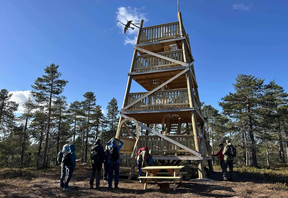 Tårnet på Savalsæterkjølen