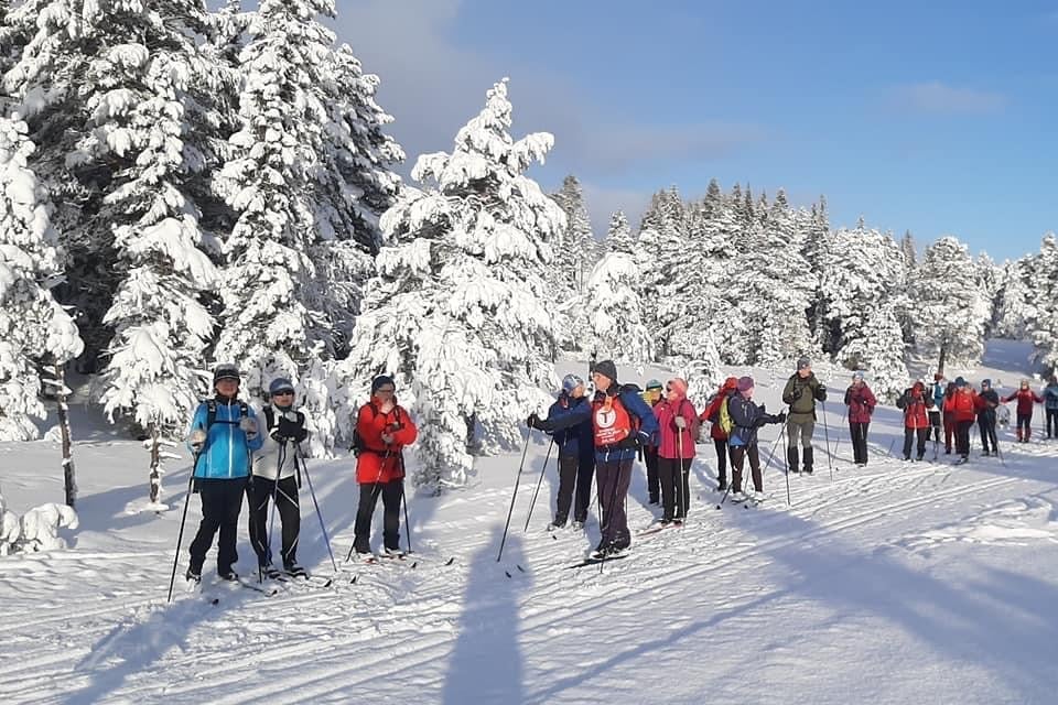 En stor gruppe mennesker ledet av en turleder på ski i skogen. Foto: Jørgen Sandnes