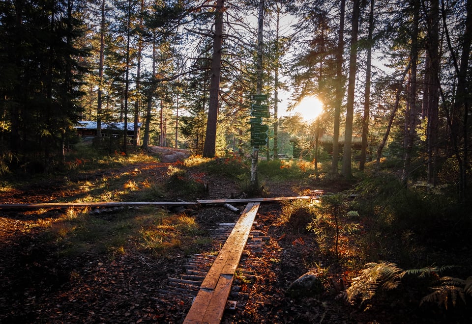 Når jeg vil en kjapp tur bort fra hverdagsmaset går jeg inn til DNT hytta Småvannsbu i kjekstadmarka. Her i høstdrakt og lyset fra solnedgangen.