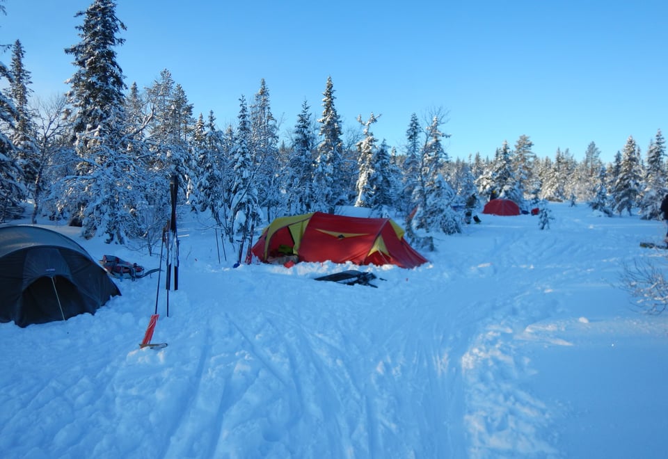 Vintertelting på Hedmarksvidda