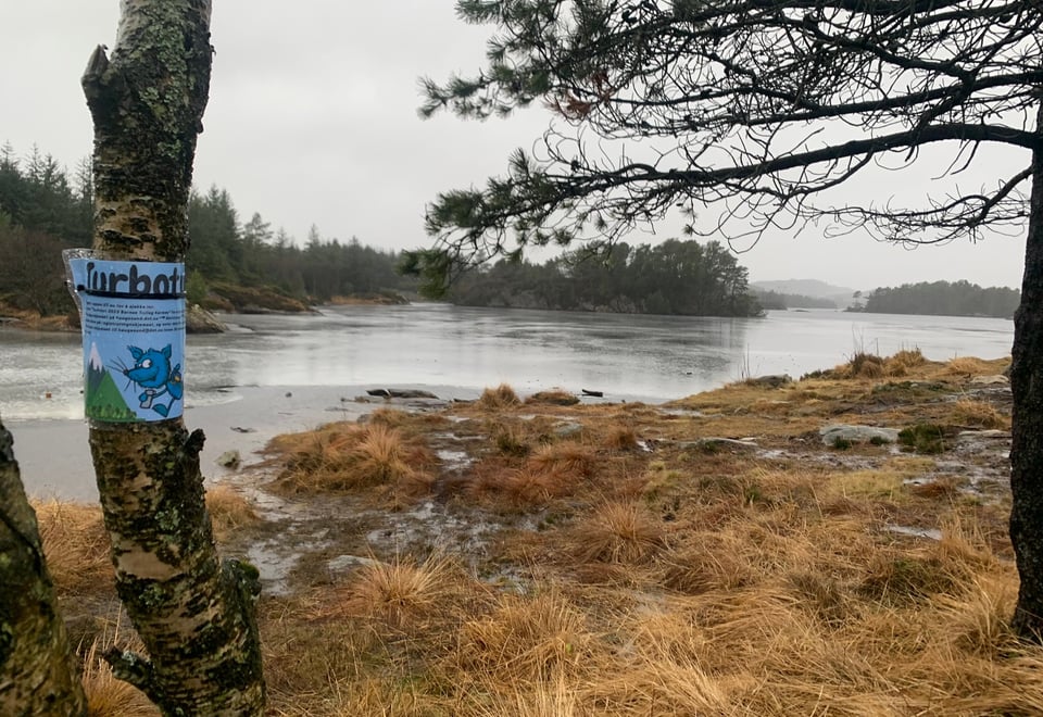 En turboplakat er heng opp på et tre ved et vann. 