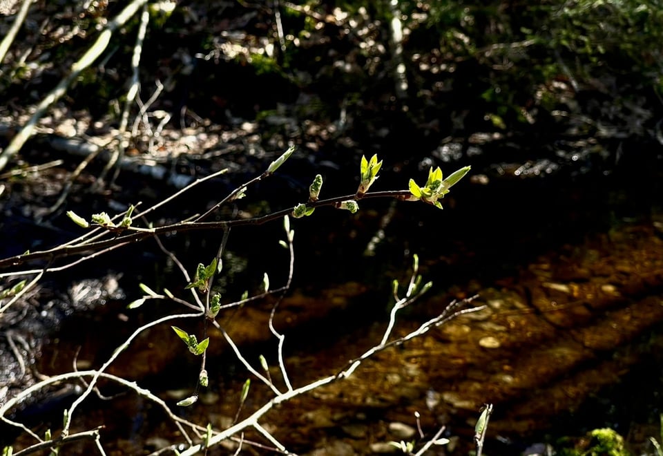 Vinteren er slutt . . .