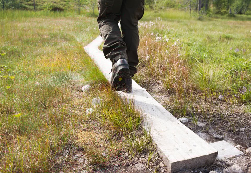 Klopping i myrlendt terreng.