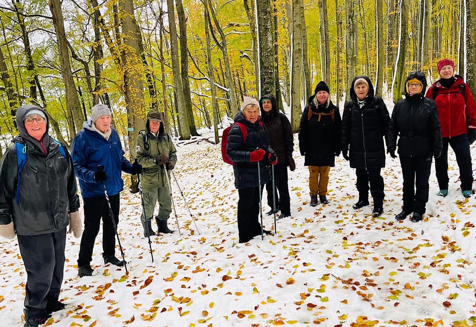 turgåere i skogen