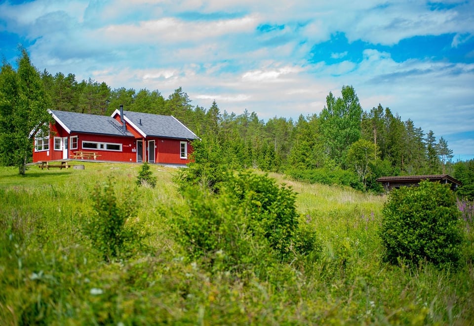 Østtorphytta om området rundt hytta om sommeren. Foto.