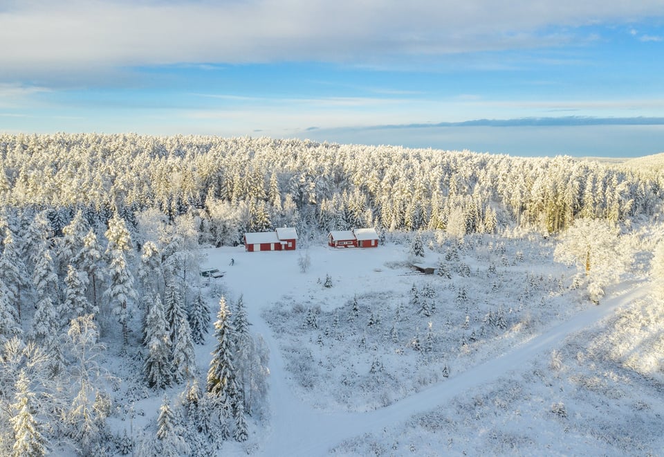 Østtorphytta om området rundt hytta om sommeren. Foto.