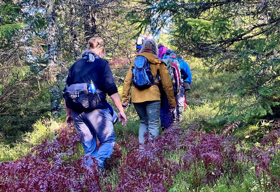 Aktiv i 100 fredagstur