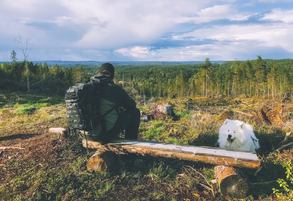 Mann sittende på en tømmerbenk, og en hvit hund liggende ved siden av, med utsikt utover skogen