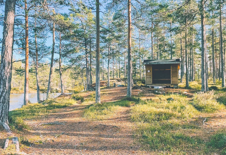 En liten gapahuk står i en furuskog ved siden av et skogstjern.