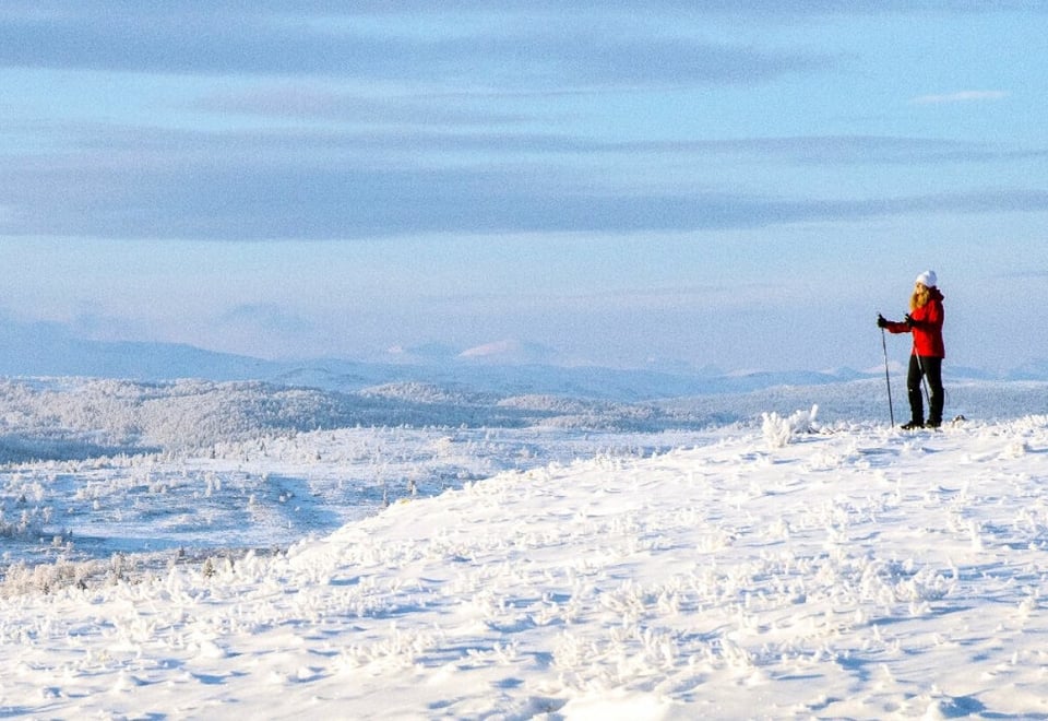 Skiløper på fjelltopp i vinterlandskap