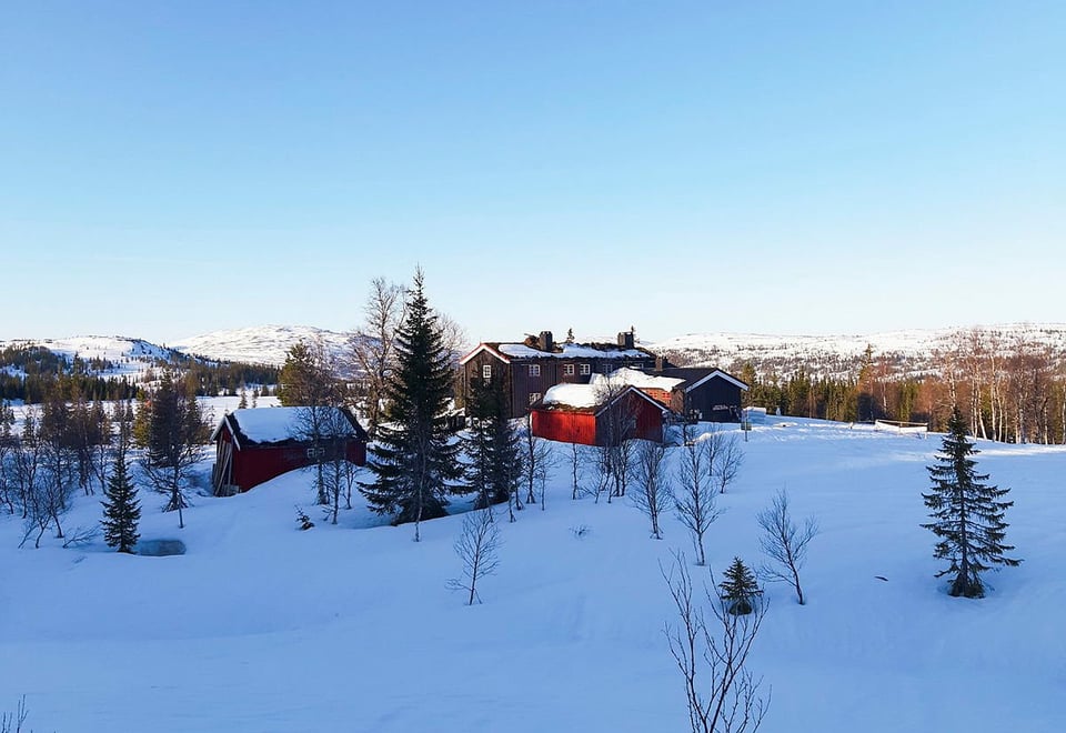 To mindre bygninger rundt en større to-etasjes L-formet brun hytte, i dyp snø, med spredte trær rundt som etterhvert blir tett nok til å være en skog