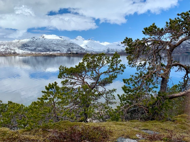 Blått hav med snødekte fjell i bakgrunnen